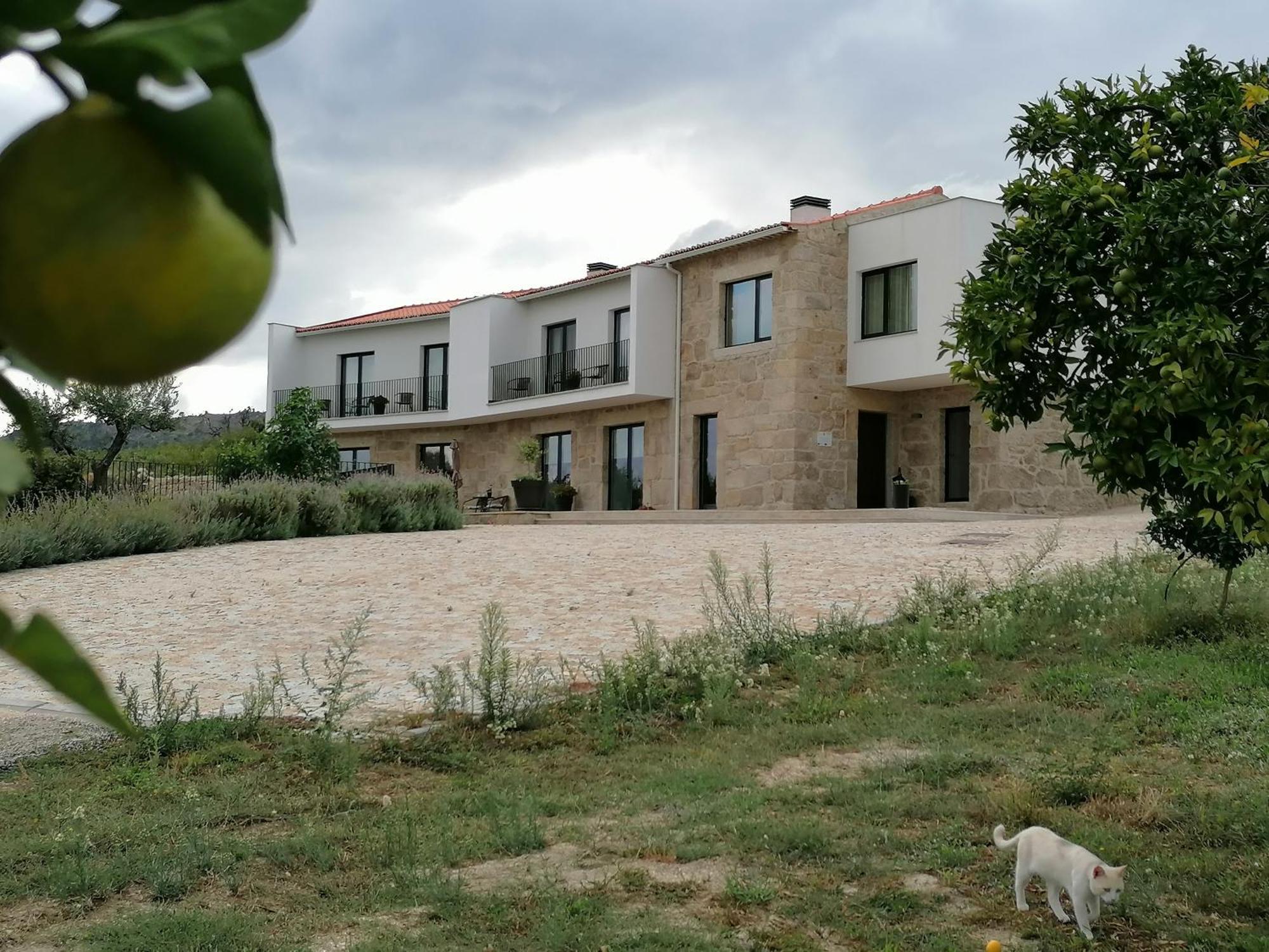 Carvalhal Redondo - Farm House Castelo Novo Exteriör bild